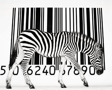 zebra_barcode2