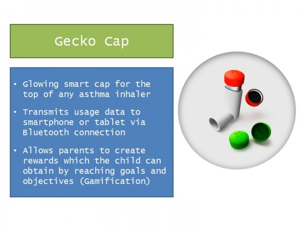 GeckoCap
