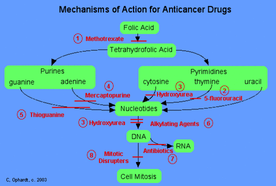 anticancer_drugs_MOA